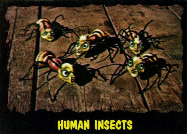 64TOL 23 Human Insects.jpg